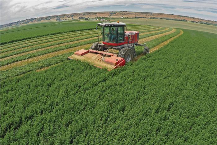 مزرعه یونجه